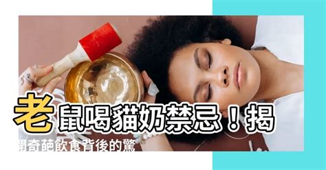 老鼠喝貓奶禁忌